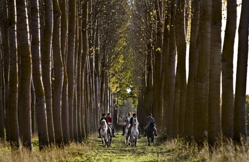 actividades-caballosrec.1