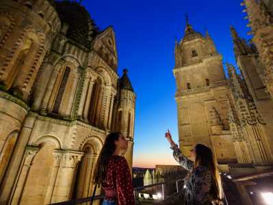 https://salamanca-turismo-prod.gvam.es/uploads/miniaturas/visitas/imagendestacada/10/Ieronimus%20Torres%20de%20la%20catedral%20SalamancaMLS03654_450.jpg